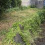 Photo of B&A Landscaping