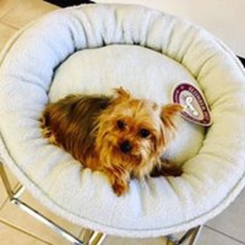 Bubble Buddies Grooming - Pet Groomers Near Me - Katy, Texas Bubble Buddies Grooming - Pet Groomers Near Me - Katy, Texas