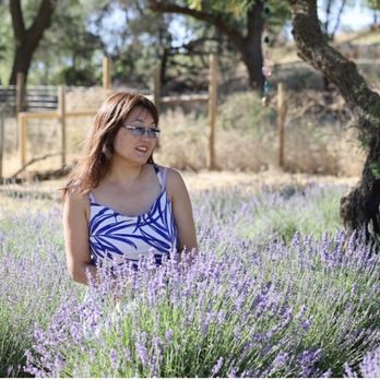 Life Under The Oaks Lavender Farm - Farms Near Me - Oracle, Arizona Life Under The Oaks Lavender Farm - Farms Near Me - Oracle, Arizona