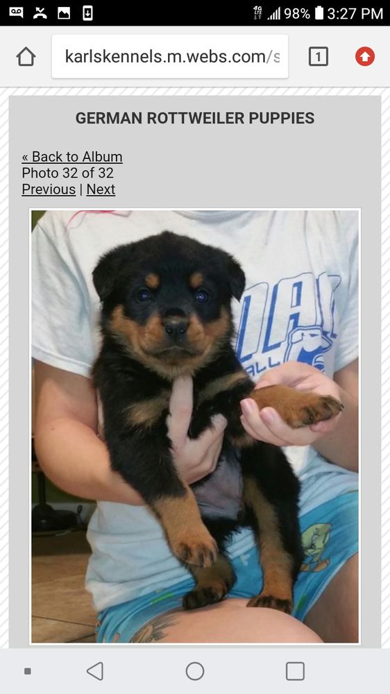 KARL’S KENNELS Updated September 2024 1220 Merritt St, Altamonte