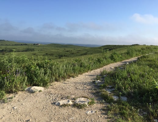 Konza Prairie Biological Station by null