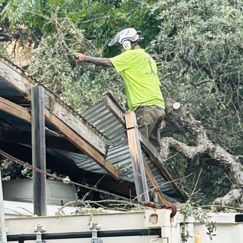 Sam's Tree Service - Tree Services Near Me - Creston, California