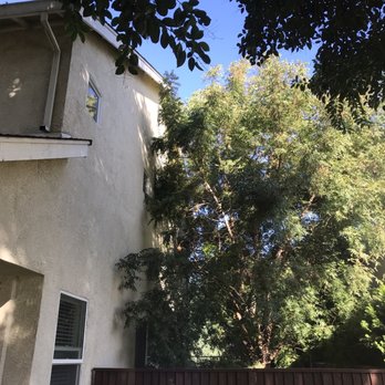 JR'S Stump Grinding - Before photo of the side yard! - Tree Services Near Me