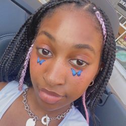 Hope's Braiding - Knotless, waist length braids, with color