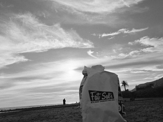 Fat Sal's Deli by null