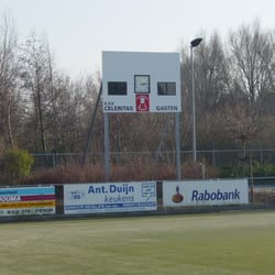 Alkmaarse Sportvereniging Celeritas