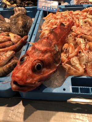 Mercat del Ninot by null