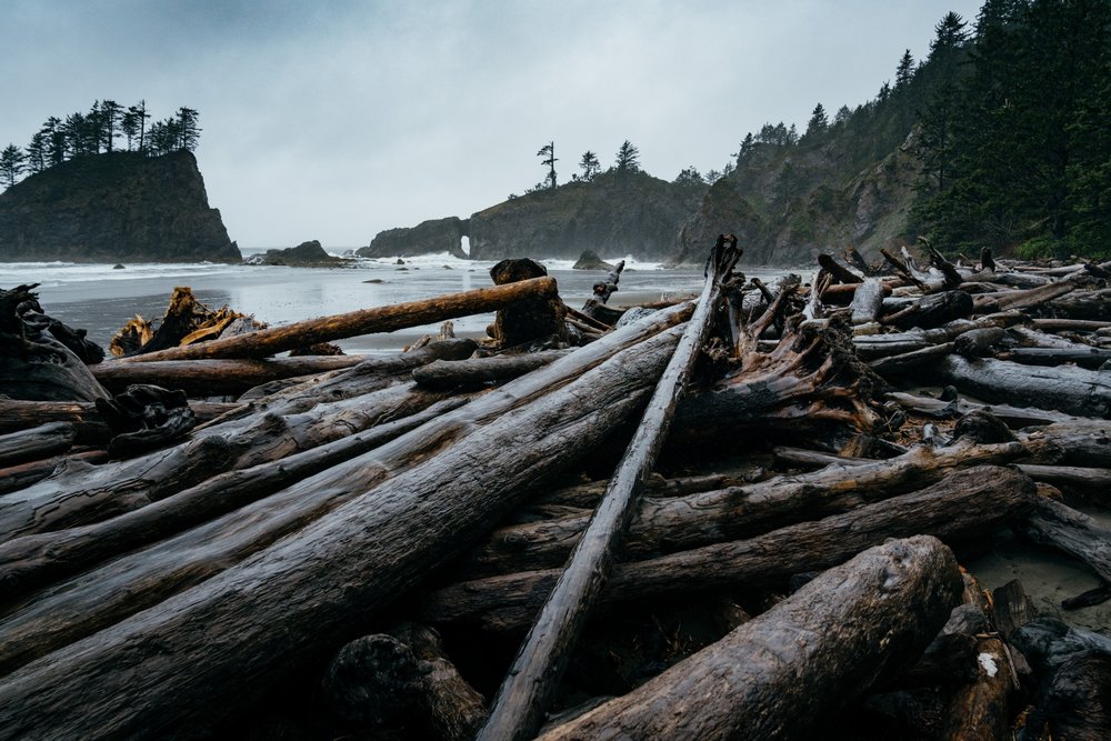 SECOND BEACH 115 Photos & 31 Reviews La Push, WA Yelp