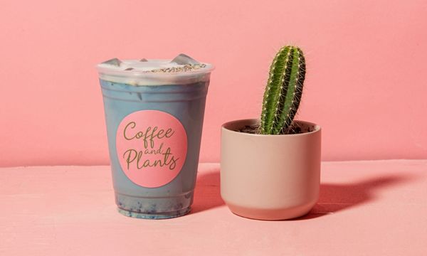 Coffee and Plants by null