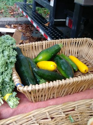 Clark Park Farmers' Market by null
