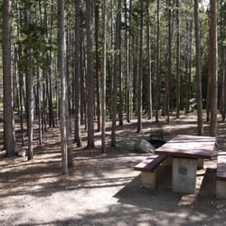Gallatin Canyon Campgrounds - Sheridan Campground
