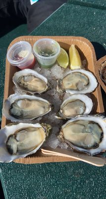 Morro Bay Oyster Company by null