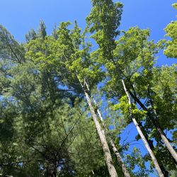 Kalkaska Rv Park & Campground
