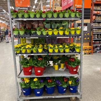 The Home Depot - Flowers on sale. - Nurseries & Gardening Near Me - Totowa, New Jersey The Home Depot - Flowers on sale. - Nurseries & Gardening Near Me - Totowa, New Jersey