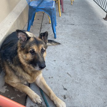 RelicRoad Brewing - My happy boy who got treats from them - Breweries Near Me - Winslow, Arizona