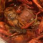 Photo of Mr Crabs