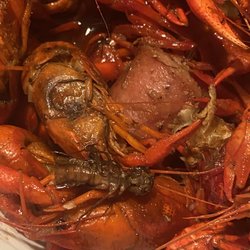 Mr Crabs - Crawfish and bug