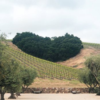 Niner Wine Estates - Make sure to make a reservation to see Heart Hill while wine tasting! - Wine Tasting Room Near Me - Paso Robles, California Niner Wine Estates - Make sure to make a reservation to see Heart Hill while wine tasting! - Wine Tasting Room Near Me - Paso Robles, California