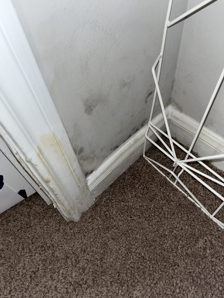 ASHLEY CASCADE APARTMENT HOMES Updated October 2024 36 Photos