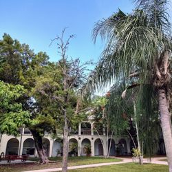 Coconut Grove Elementary school