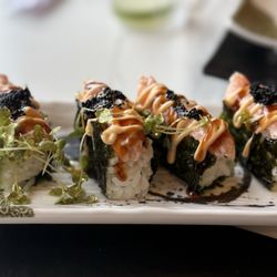 Temak house Tampa - Sushi Taco