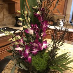 Swanson's Ashland Addison Florist - Tropical orchid arrangement