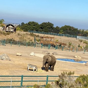 Vision Quest Ranch - The view from our hut, it's enlarged so looks closer than it is.  Theres a zebra in because she was kind of nasty to the other zebra. - Bed & Breakfast Near Me - Salinas, California