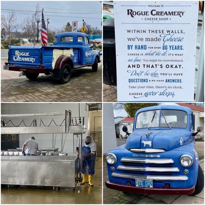 Rogue Creamery by null