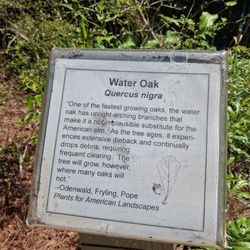 The Crosby Arboretum
