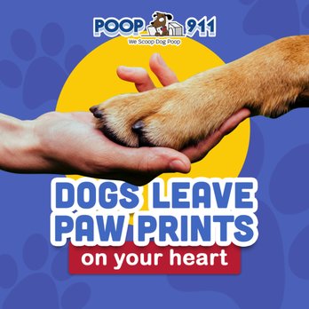 POOP 911 - Pet Waste Removal Near Me POOP 911 - Pet Waste Removal Near Me