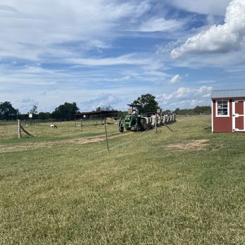 Barton Hill Farms - Venues & Event Spaces Near Me - Bastrop, Texas Barton Hill Farms - Venues & Event Spaces Near Me - Bastrop, Texas