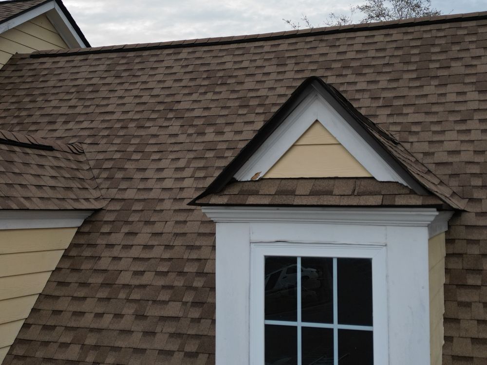 Slide of Roof Bullies