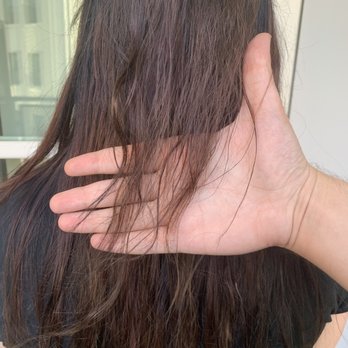 Balayage By Linet - Hair a week later, BREAKING SIX INCHES UP THE SHAFT. - Hair Stylists Near Me - Glendale, California Balayage By Linet - Hair a week later, BREAKING SIX INCHES UP THE SHAFT. - Hair Stylists Near Me - Glendale, California