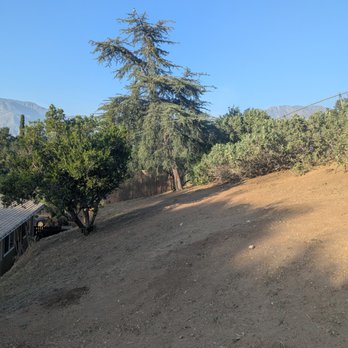Munoz Tree Service - After: this will make the fire department happy - Tree Services Near Me - Fontana, California