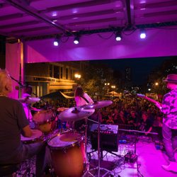 Electro Sound Systems - Ladybug Festival 2018