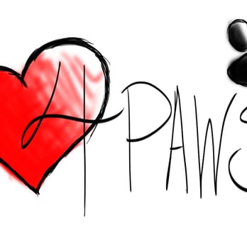Love 4 Paws - Love4Paws.LLC - Pet Sitting Near Me Love 4 Paws - Love4Paws.LLC - Pet Sitting Near Me