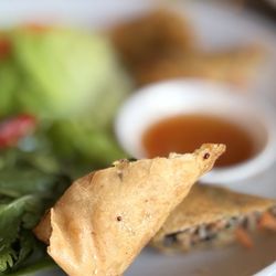 Hummingbird - Viet-Cajun Spring Rolls