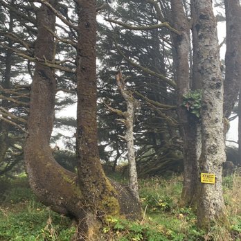 Devil's Churn - Parks Near Me - Yachats, Oregon