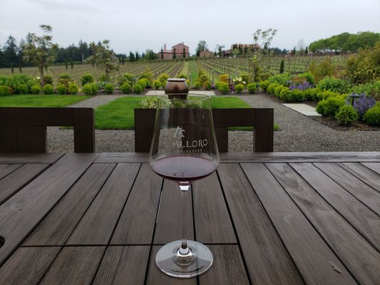 Alloro Vineyard by null