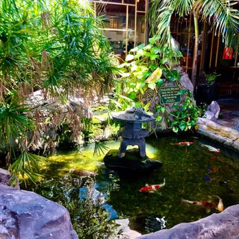 Crazy Buffet - Outside Koi Pond - Buffets Near Me - West Palm Beach, Florida