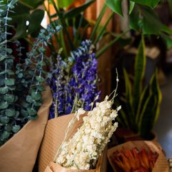 Ragged Glory Trading Co - Dried Floral Bouquets