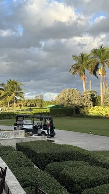 Miami Beach Golf Club by null