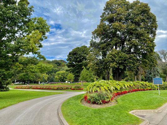 Queen Victoria Park by null