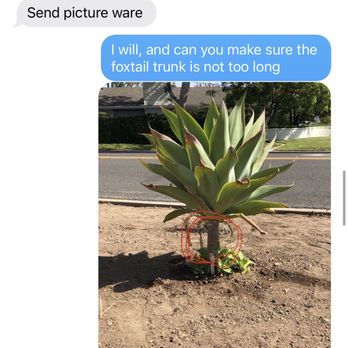 La Vista Nursery - Plants from this nursery that I didn't ask for. - Nurseries & Gardening Near Me - Riverside, California La Vista Nursery - Plants from this nursery that I didn't ask for. - Nurseries & Gardening Near Me - Riverside, California