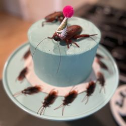 Tiny Baked Goods - Our custom made cockroach cake! Exactly what we asked for