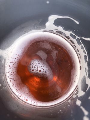 Beachwood Brewing 2nd & PCH by null