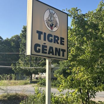 1. Tigre Géant
