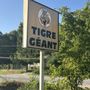 Photo of Tigre Géant