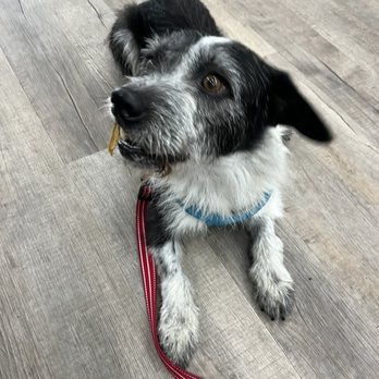 Marin Raw - Pet Stores Near Me - San Anselmo, California