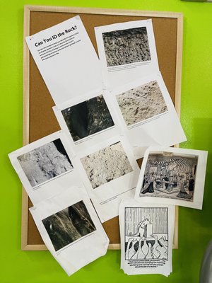 Museum of Science & Industry by null